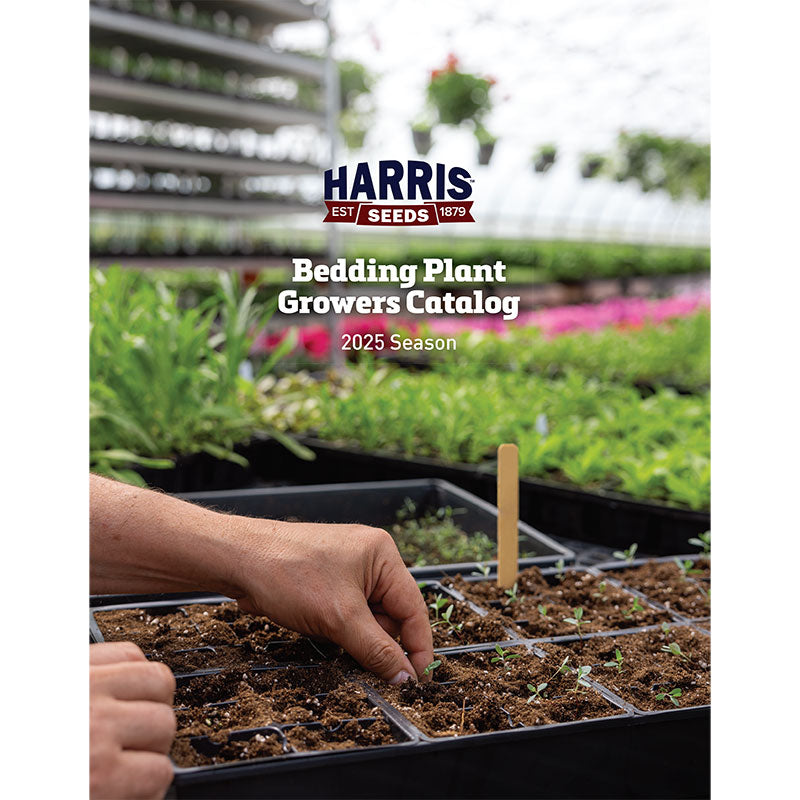 2025 Harris Seeds Ornamental Bedding Plant Growers Seed Catalog (FREE)