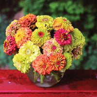 Zinnia Queeny Lime Mix Seed