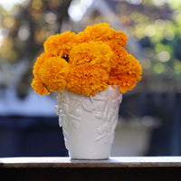 Marigold Coco Deep Gold Seed