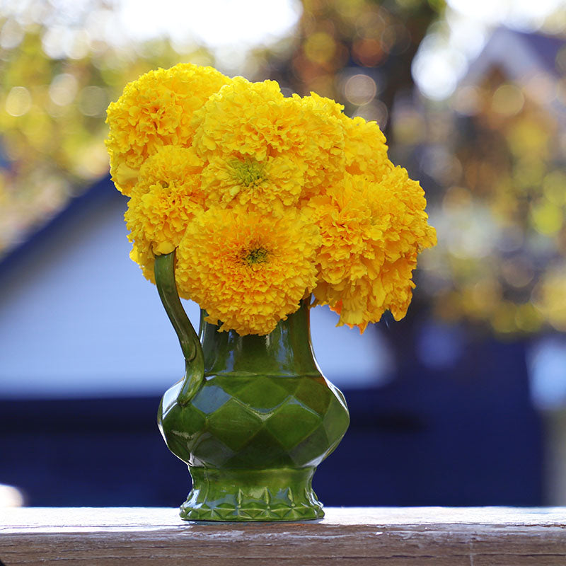 Marigold Coco Deep Yellow Seed