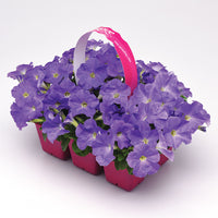 Petunia E3 Easy Wave Blue Sky F1 Seed