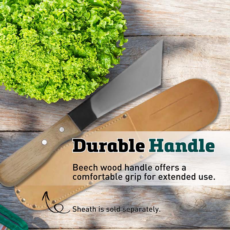 Lettuce Knife Carbon Steel Blade Wood Handle