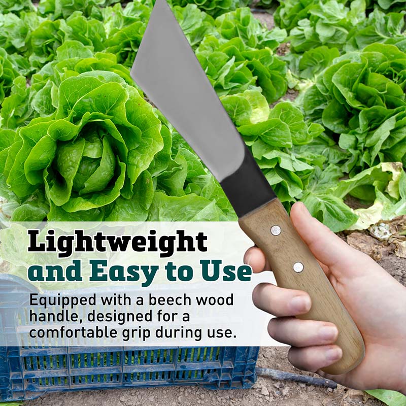 Lettuce Knife Carbon Steel Blade Wood Handle