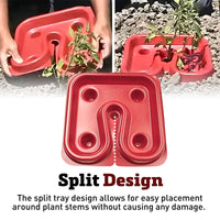 Red Automator Tomato Trays (3)