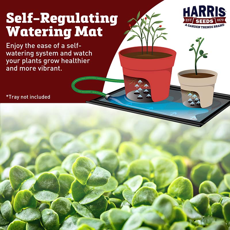 Growers Supply Self Watering Kit