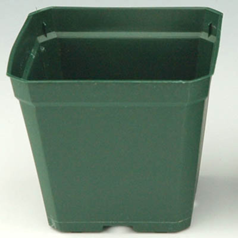 Kord 3-1/2" Square Plastic Pot