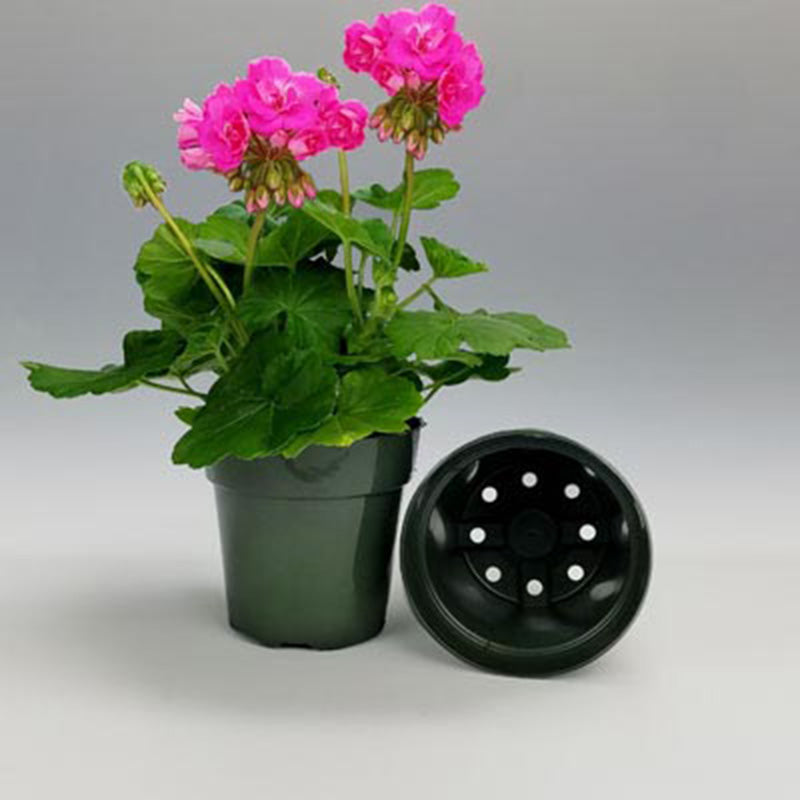 Dillen 6" Round Pot