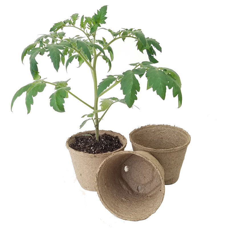 Jiffy 5" Round Pots