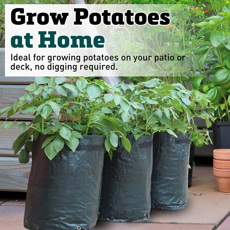 Potato Planter Bag (3 Pack)