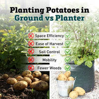 Potato Planter Bag (3 Pack)