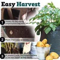 Potato Planter Bag (3 Pack)