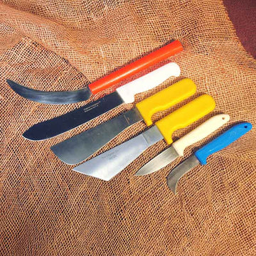 Harvest Knife Collection