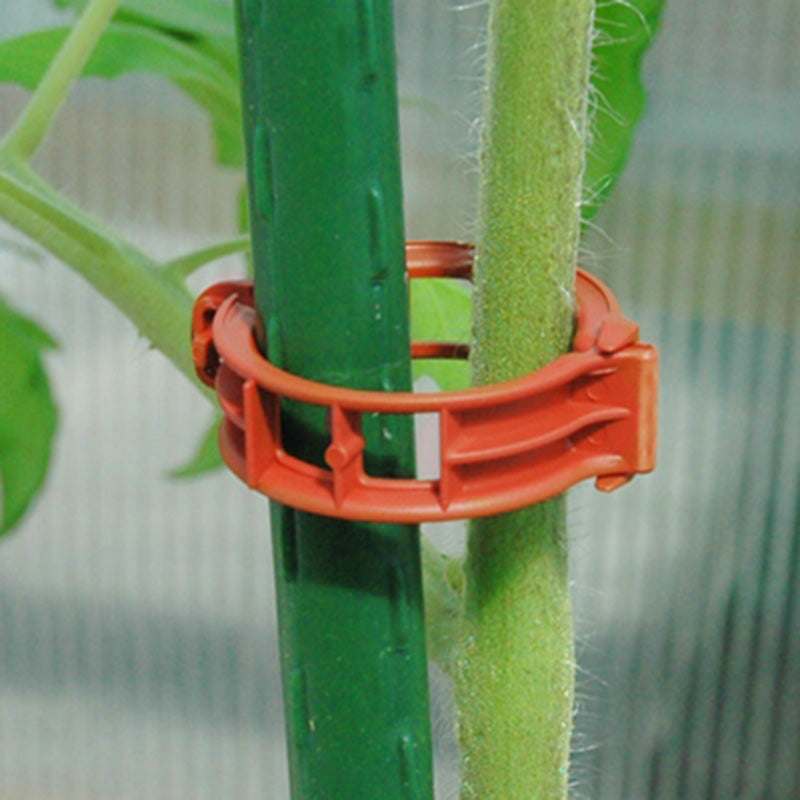 https://www.harrisseeds.com/products/40859-plant-hanger-vine-clips-23mm?variant=28921311889