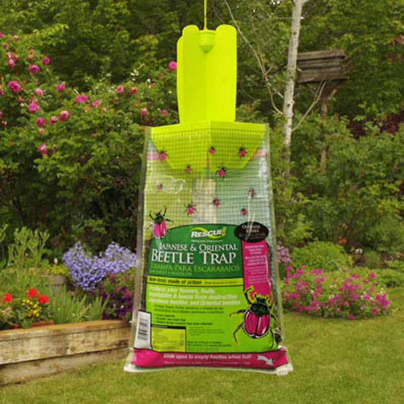 Rescue! Japanese Beetle Trap Disposable