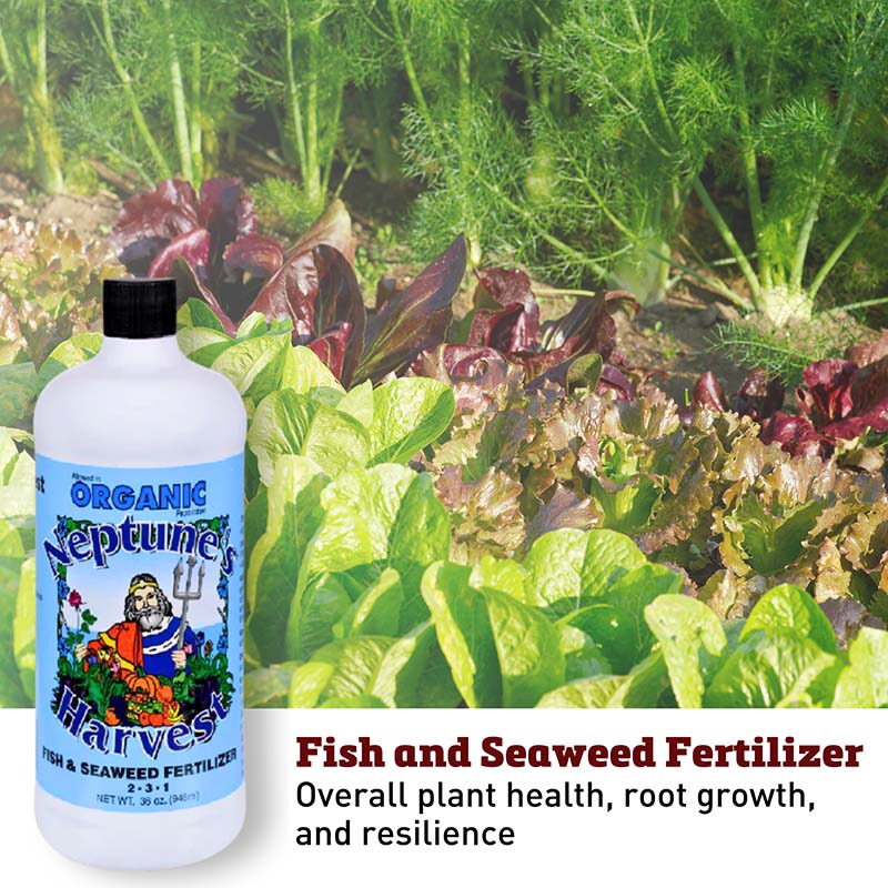 Neptune's Harvest Organic Fish and Seaweed Fertilizer