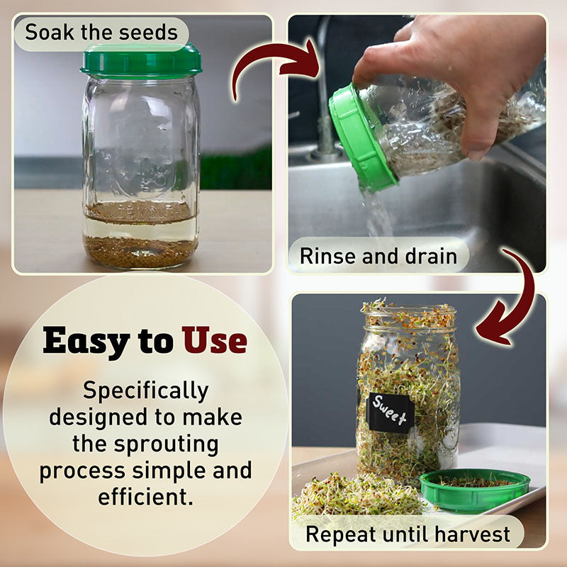 Mason Jar Sprouting Lid