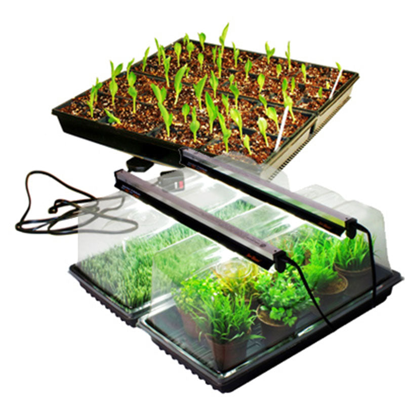 SunBlaster Mini Greenhouse Large Combo