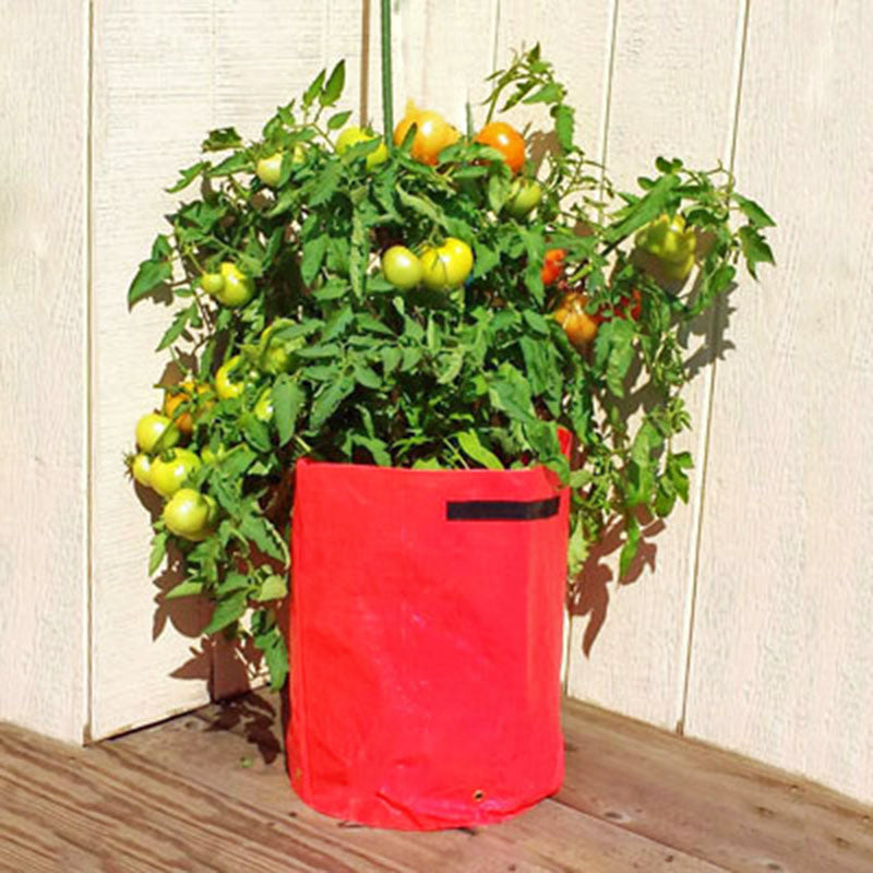 Tomato Patio Planters 3 Pack