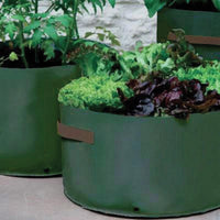 Vegetable Patio Planters 3 Pack