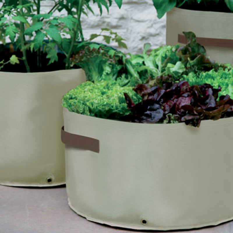 Vegetable Patio Planters 3 Pack