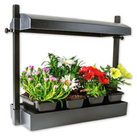 SunBlaster Micro Grow Light Garden - Black