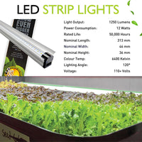 SunBlaster 12" LED Light Strip 6400K