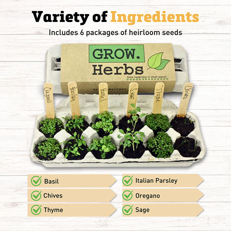 Grow Gardens Grow Herbs Kit