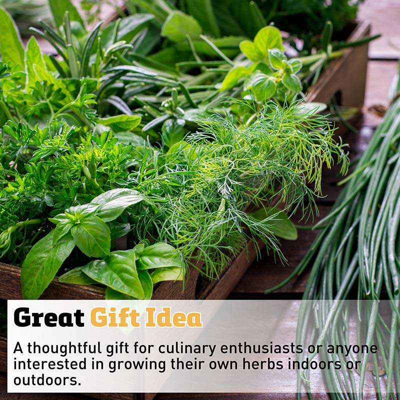 Grow Gardens Grow Herbs Kit