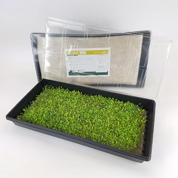 Biostrate Felt Micro Greens Kit