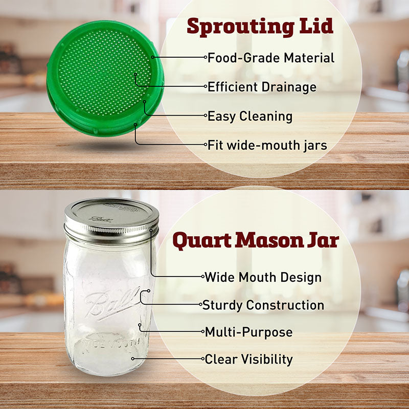 1 Quart Mason Jar and Sprouting Lid Combo