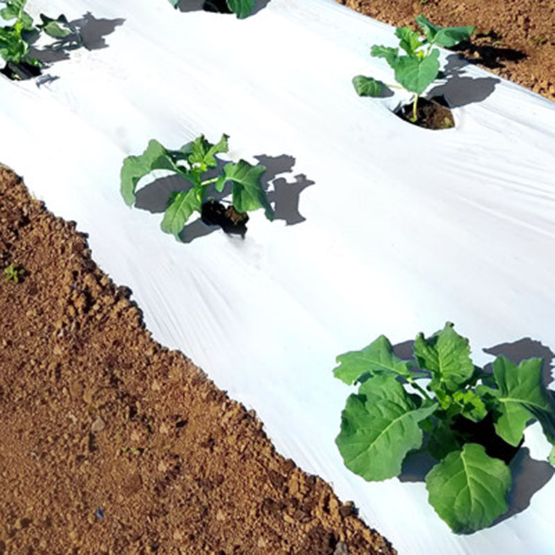 White on Black Plastic Mulch 4' x 3000' 1.25 mil.