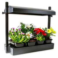 SunBlaster Micro Grow Light Garden LED - Black