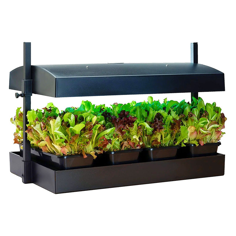 SunBlaster LED Grow Light Garden