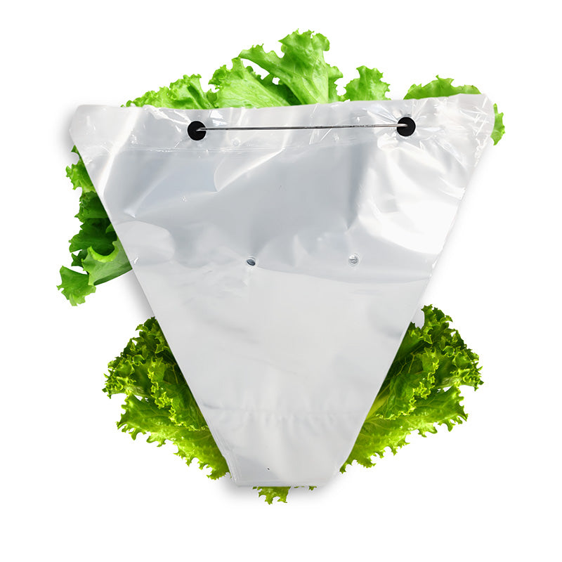 Hydroponic Lettuce Sleeves 14” x 9” x 5”