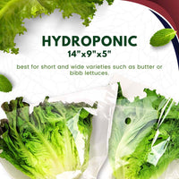 Hydroponic Lettuce Sleeves 14” x 9” x 5”