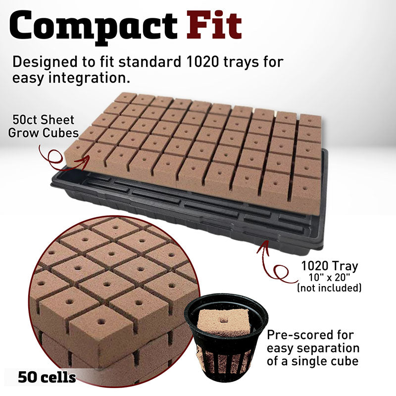 Oasis Rootcubes® Grow Cubes 50ct Sheet