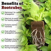 Oasis Rootcubes® Grow Cubes 162ct Sheet