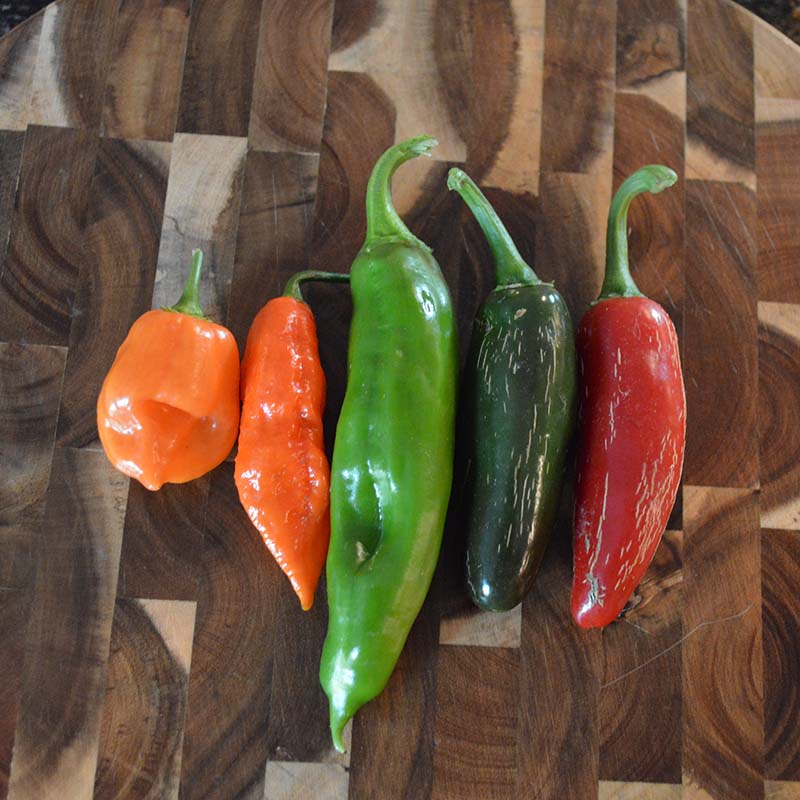 Hot Pepper Garden Kit