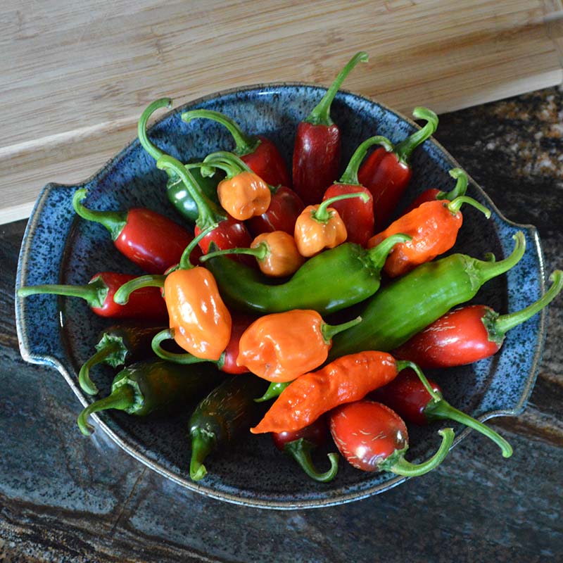 Hot Pepper Garden Kit