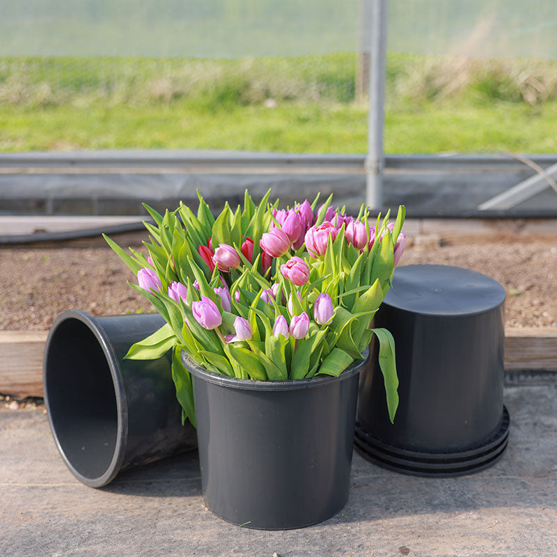 Cut Flower Buckets 10 L Wide