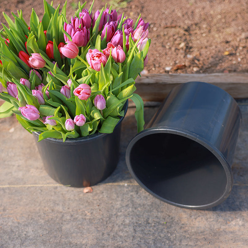 Cut Flower Buckets 10 L Wide