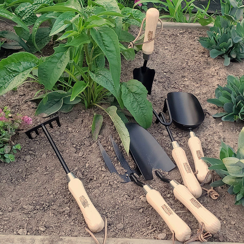 Harris Seeds 6 Piece Garden Tool Set