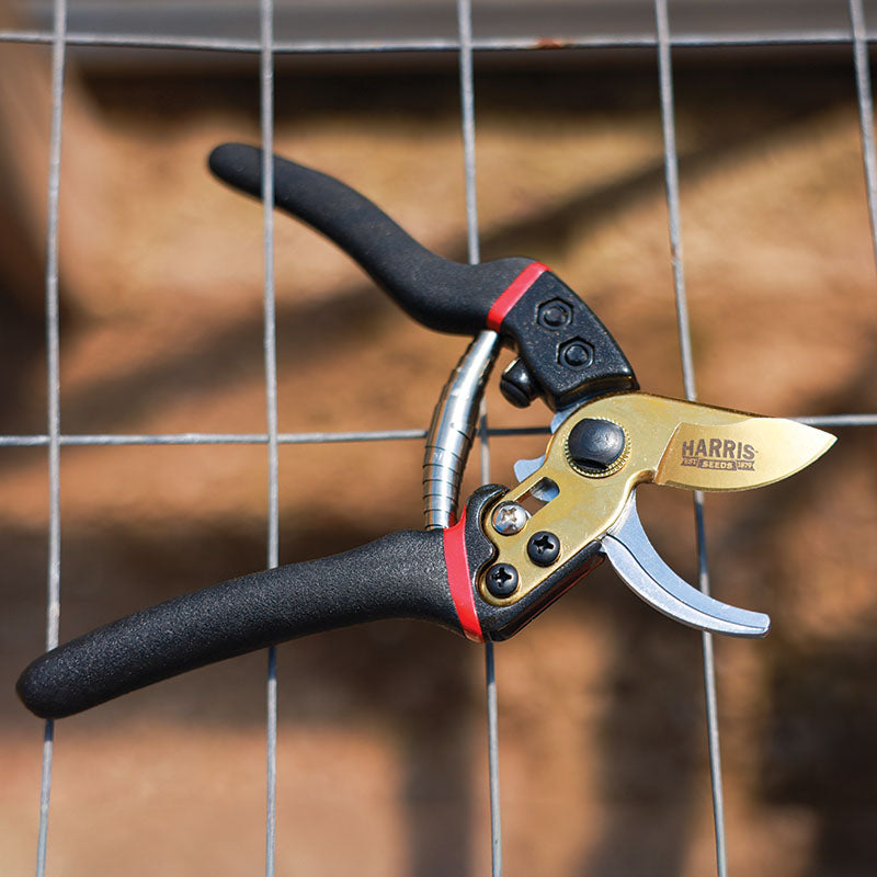 Harris Seeds Bypass Pruners