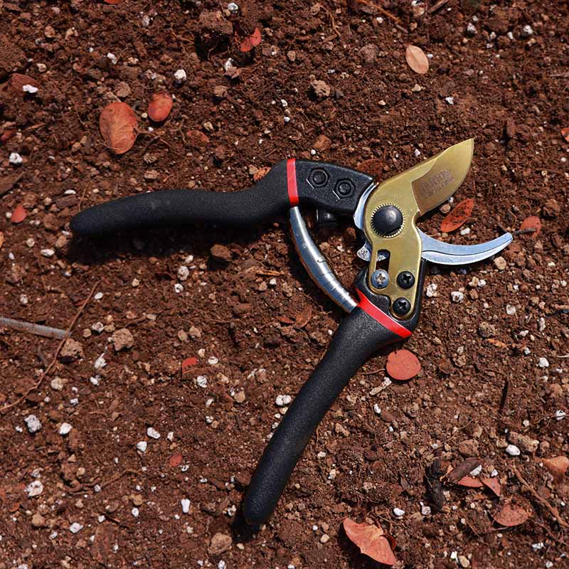 Harris Seeds Bypass Pruners