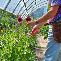 Harris Seeds Garden Scissors