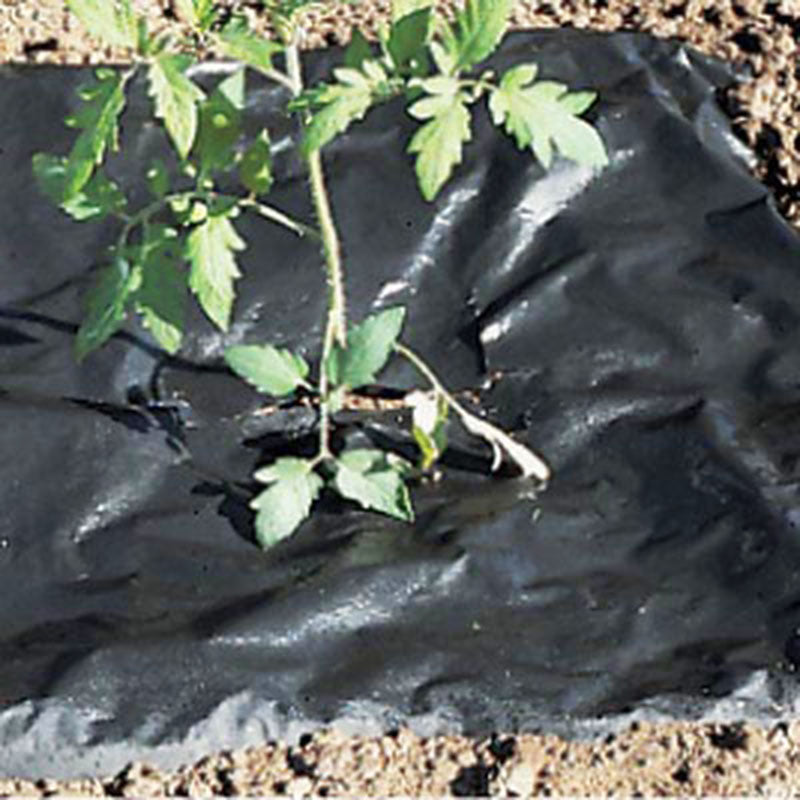 Planters Paper Mulch 4' x 100'