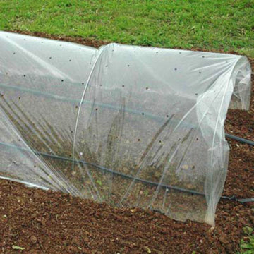 Row Cover Clear Punched 6' x 1000'