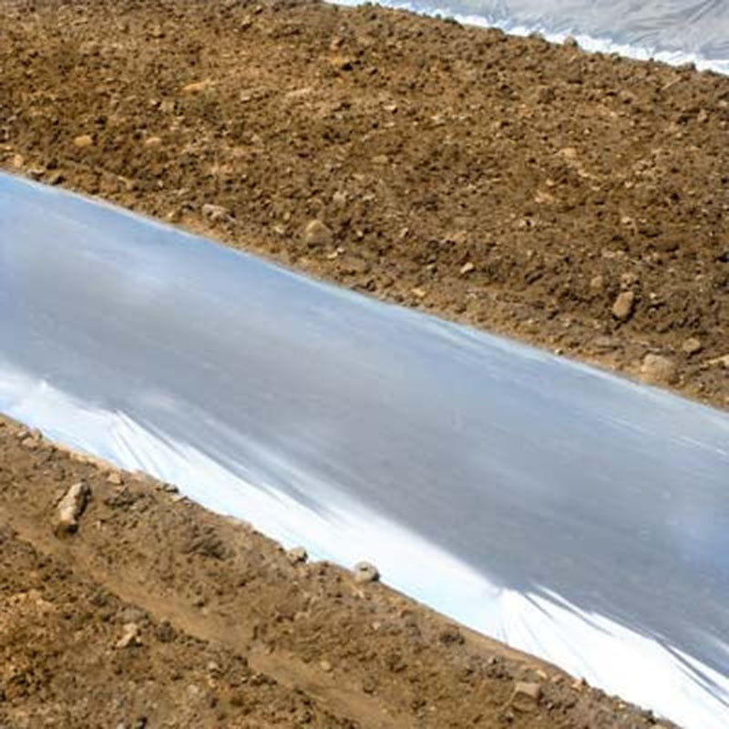 Metallic Plastic Mulch 4' x 50'