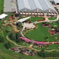 Harris Seeds' Four Star Greenhouses Program