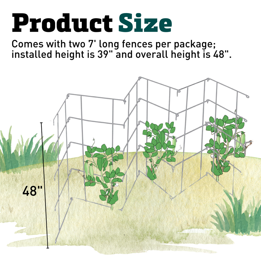 Folding Pea Trellis/Fence